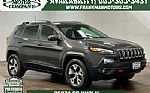 2017 Cherokee Thumbnail 1