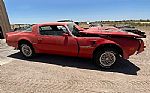 1977 Pontiac Trans Am