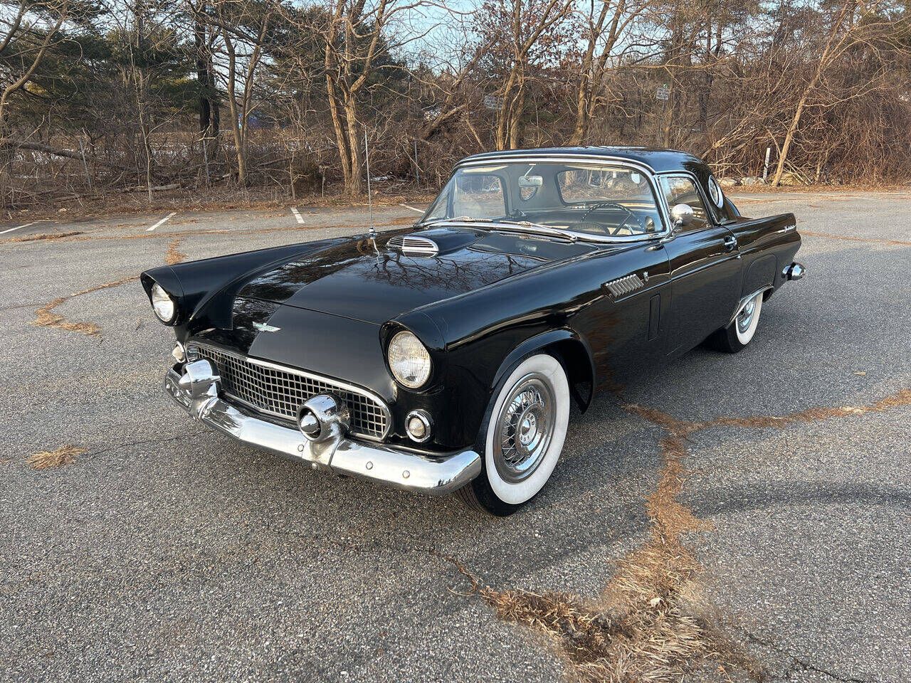 1956 Thunderbird Image