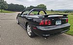 1998 Mustang SVT Cobra Thumbnail 9