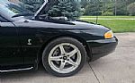 1998 Mustang SVT Cobra Thumbnail 73