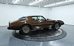 1979 Trans Am Thumbnail 25