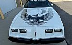 1981 Firebird Thumbnail 9