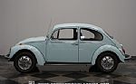 1968 Beetle Thumbnail 2