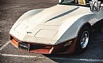 1981 Corvette Thumbnail 10