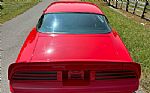 1977 Firebird Thumbnail 12