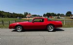 1977 Firebird Thumbnail 32