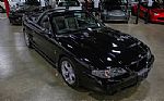 1996 Mustang SVT Cobra Thumbnail 9