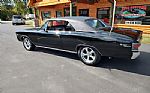 1967 Chevelle SS 396 Thumbnail 59