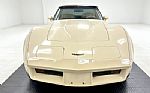 1981 Corvette Coupe Thumbnail 9