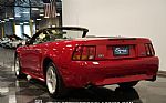 1999 Mustang SVT Cobra Convertible Thumbnail 8