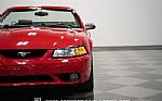 1999 Mustang SVT Cobra Convertible Thumbnail 17