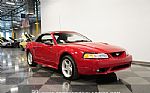 1999 Mustang SVT Cobra Convertible Thumbnail 13