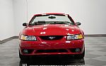 1999 Mustang SVT Cobra Convertible Thumbnail 14