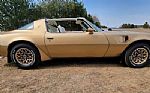 1979 Pontiac Trans Am