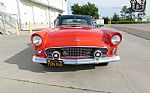 1955 Thunderbird Thumbnail 2