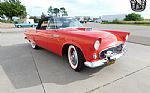 1955 Thunderbird Thumbnail 6