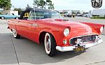 1955 Thunderbird Thumbnail 12