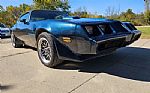 1979 Firebird Trans Am Thumbnail 9