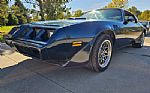 1979 Firebird Trans Am Thumbnail 7