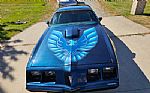 1979 Firebird Trans Am Thumbnail 16