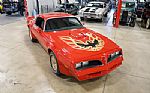 1977 Firebird Trans Am Thumbnail 14