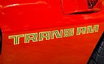 1977 Firebird Trans Am Thumbnail 28