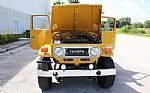 1978 FJ43 Thumbnail 10