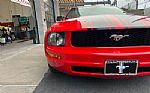 2005 Mustang Thumbnail 18