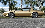 1979 Trans Am WS6 with T-Tops Thumbnail 12