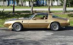 1979 Trans Am WS6 with T-Tops Thumbnail 14