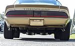 1979 Trans Am WS6 with T-Tops Thumbnail 18