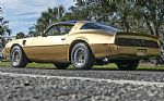 1979 Trans Am WS6 with T-Tops Thumbnail 15