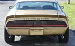 1979 Trans Am WS6 with T-Tops Thumbnail 19