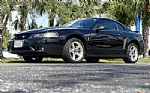 2001 Mustang Cobra Thumbnail 13