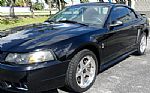 2001 Mustang Cobra Thumbnail 26