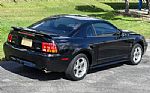 2001 Mustang Cobra Thumbnail 42