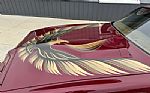 1980 Trans Am Thumbnail 5