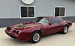 1980 Trans Am Thumbnail 3