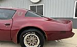 1980 Trans Am Thumbnail 45