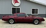 1980 Trans Am Thumbnail 67