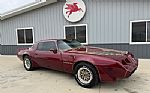 1980 Trans Am Thumbnail 65