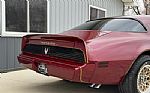 1980 Trans Am Thumbnail 69