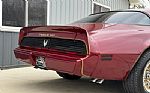 1980 Trans Am Thumbnail 71