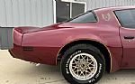 1980 Trans Am Thumbnail 75