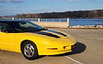 1994 Firebird Thumbnail 17