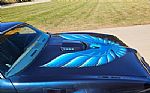 1979 Firebird Trans Am Thumbnail 22