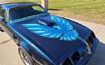 1979 Firebird Trans Am Thumbnail 23