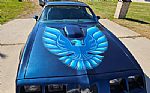 1979 Firebird Trans Am Thumbnail 24