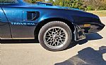 1979 Firebird Trans Am Thumbnail 79